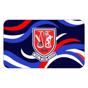 TOTI HIGHSCHOOL TOWEL web
